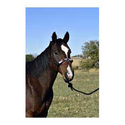 Beaded Rope Halter  Professional's Choice